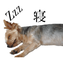 kai_stamp2