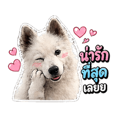 kwanza_bangkeaw