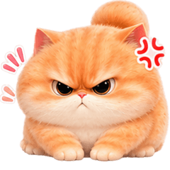 Grumpy Orange Cat: Daily Mood