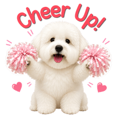 Candy the Fluffy Cutie
