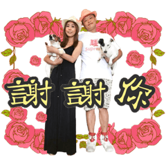 鏟屎官到職三週年慶