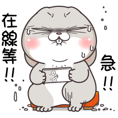 好想兔-不太正經