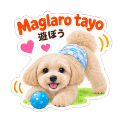 Suzuking_20260819191614