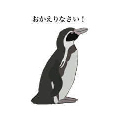 penguins are amazing