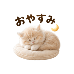 Sachie_20260821