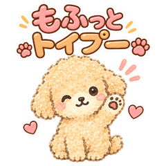 normal toy poodle n