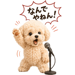Fluffy Toy Poodle Kansai Dialect