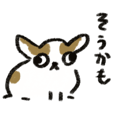 riposhima_20260821152005