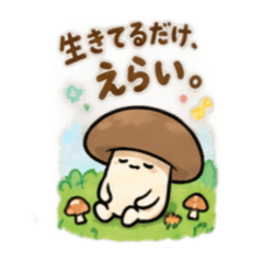 MAHINA_20260821210708