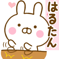 Rabbit Usahina love harutan