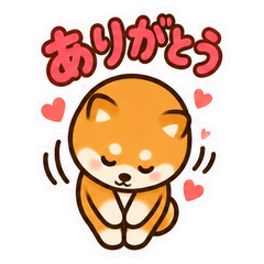 masa's dog