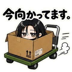 Mostly Box.