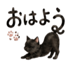 Curled-Tail Black Cat Letter Stamps