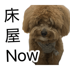 moe_20260822223433