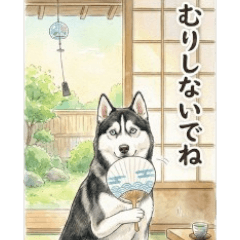 Pop-Up! Black Husky's Japanese Summer