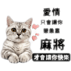 小淑頭專輯