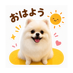 use it every day!! Popo's daily stamp