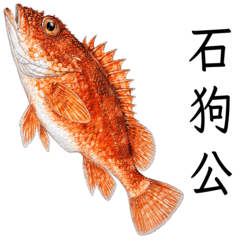 Getting to Know Saltwater Game Fish