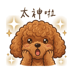 Healing Days with a Red Poodle in Taiwan