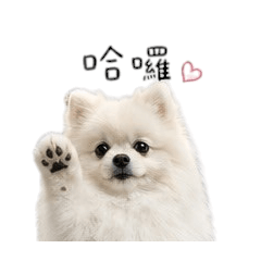 SnowBabySoCute