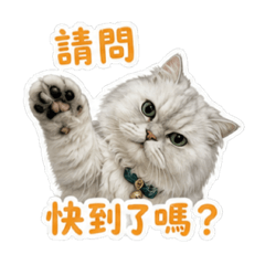 預約翠斯