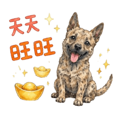 money天天來旺