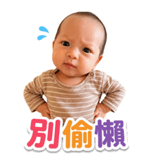 金孫瑞士小星星2
