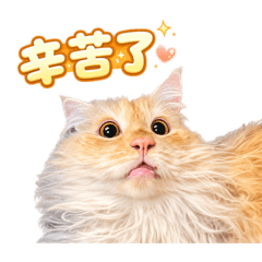 Sora的貼圖1.0