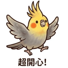 玄鳳阿灰的日常