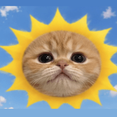 Little Orange Says Hello | With Text