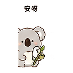 療癒考拉日常