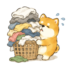 Shiba's Honest Thoughts: I Hate Chores!
