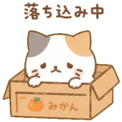 negative cat a