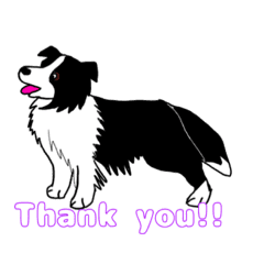 Border Collie Sticker Line Stickers Line Store