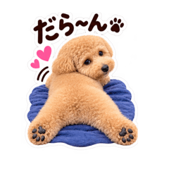 Haruu_pet_20260823133820