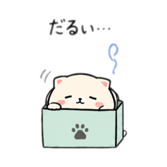 Yamashin_20260823134428