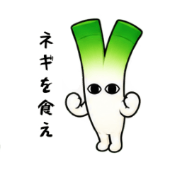 midorikawa_20260823133937