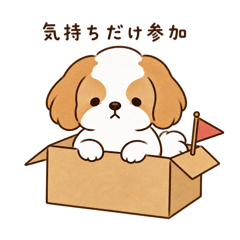 Deadpan Shih Tzu Days