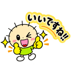 keigo no tuntun boy