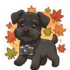 Autumn Black Schnauzer Stickers