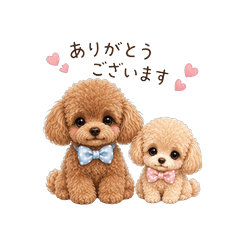 Toy Poodle Duo