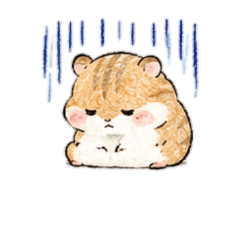 [No text]A cute, squishy hamster.1