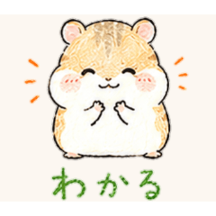 A cute, squishy hamster.2