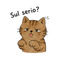 Italian Reactions- Piano piano cat