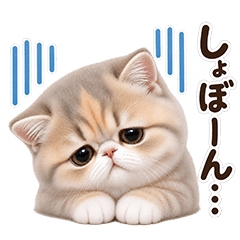Exotic Chibi Nyan Reactions