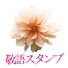 KiKi's Flower garden 4