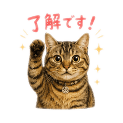 Rikko_20260823205912