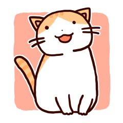 Cute and Chubby Orange Tabby Cat