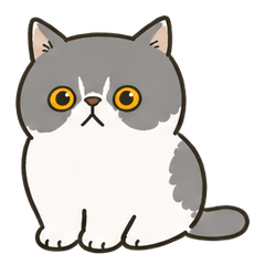 Round-Faced, Deadpan Exotic Shorthair