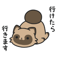 TanuTanu Tanukisan3